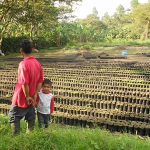 Coffee farmers in Honduras